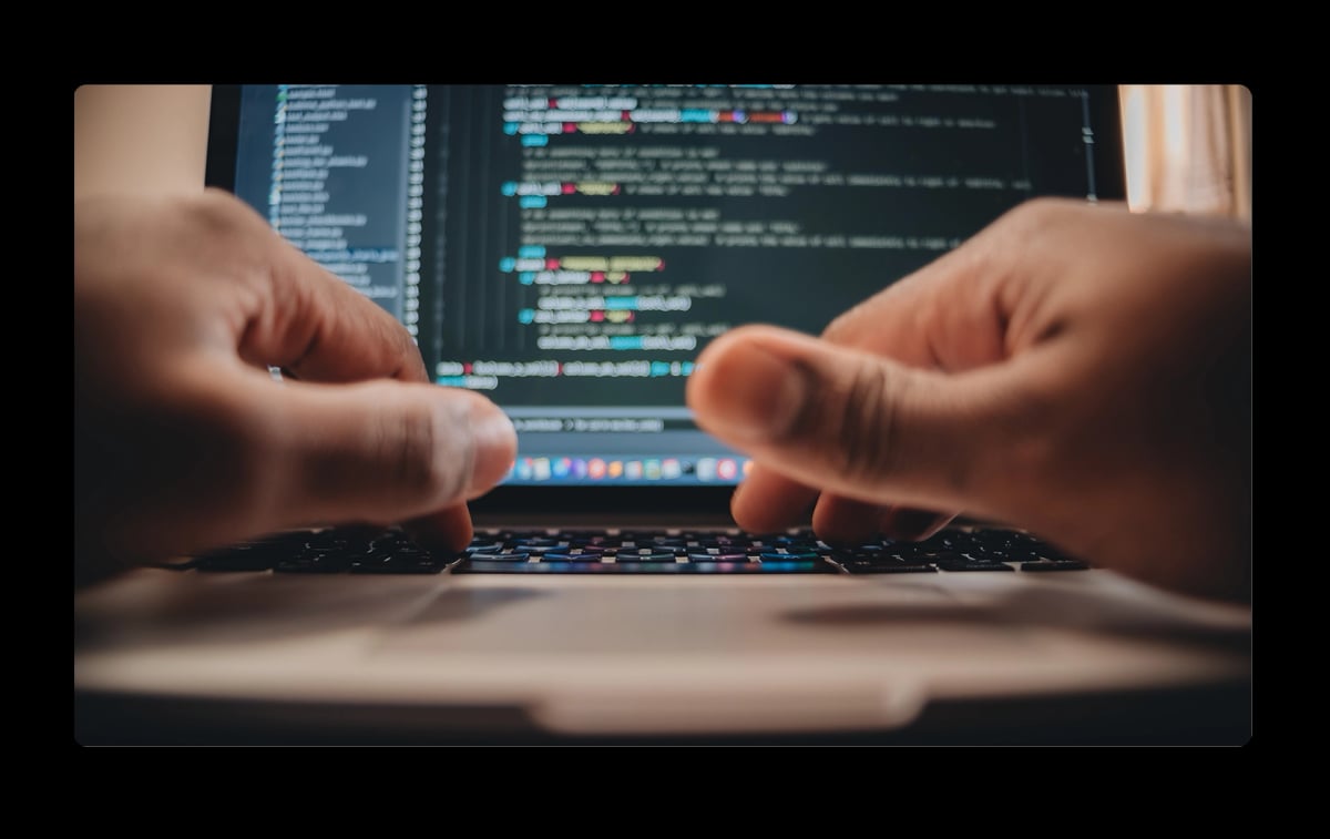 Developer