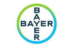 Bayer